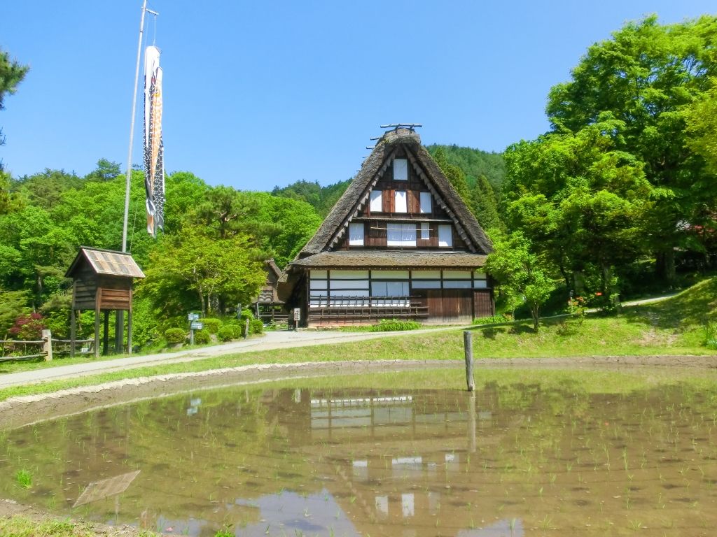 17KCV_58fd8af0-293a-467b-8747-ca3aae85807f