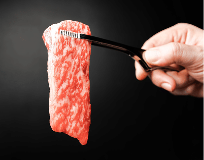 הירו וואגיו בלוג